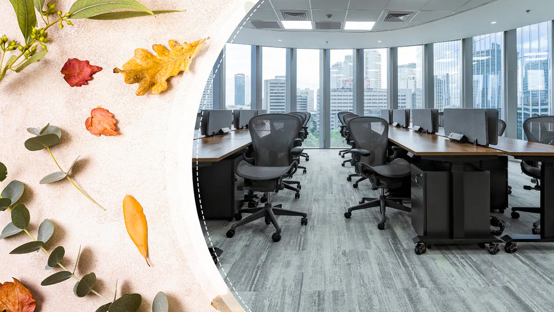 The CFR Direct Pre-Thanksgiving Second-Hand Office Furniture Sale Will Improve Your Workspace!