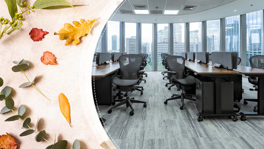 The CFR Direct Pre-Thanksgiving Second-Hand Office Furniture Sale Will Improve Your Workspace!